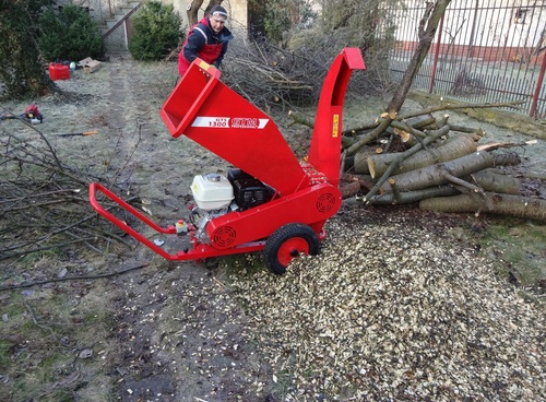 Zimowa pielęgnacja drzew i praktyczne zastosowanie zrębka